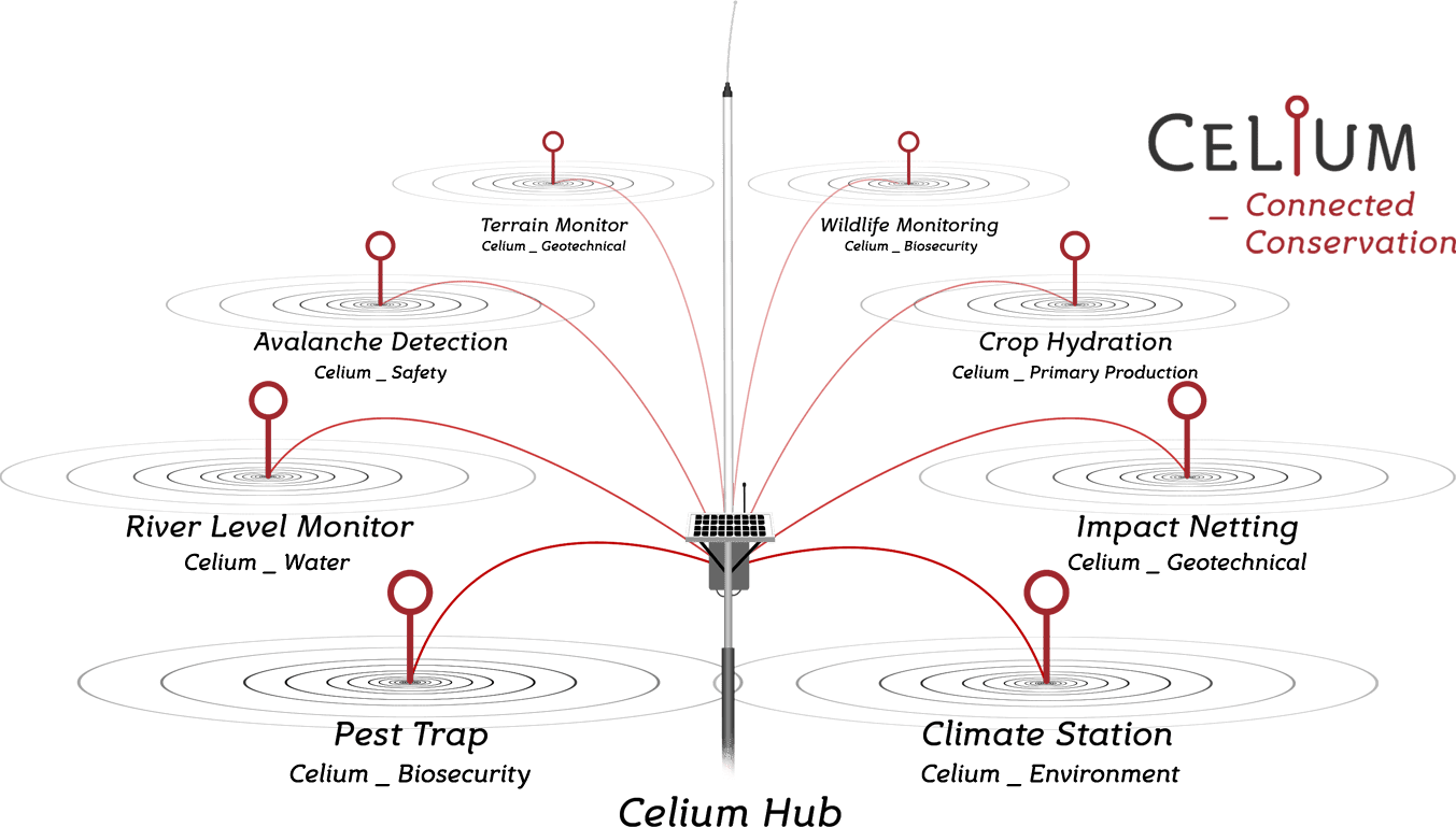 Celium - Connected Conservation