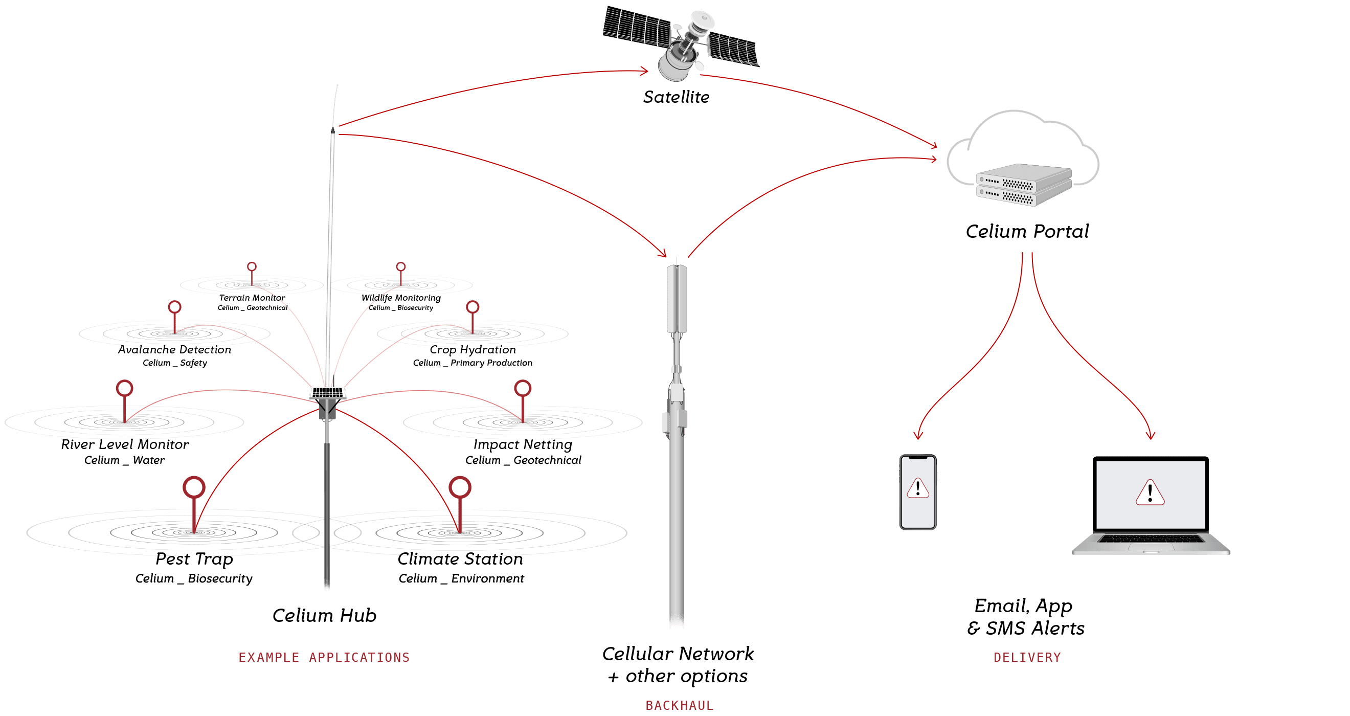 Celium Network Diagram