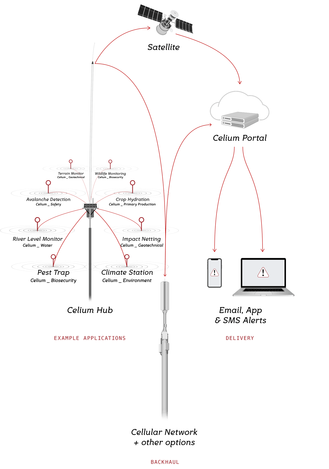 Celium Network Diagram